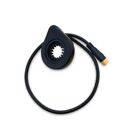 Senzor pass DUAL BOOASTER cu 12 magneti si mufa waterproff (3 pini)