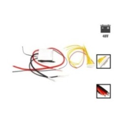 BMS pentru bateria Dualtron Togo 48V